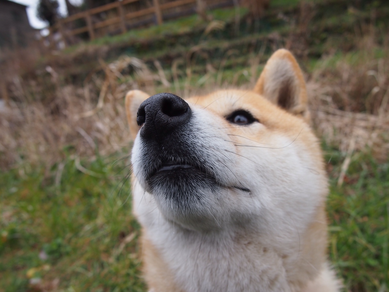 戈贝尔法则，当辽宁遇上雄鹿，唯一主宰比赛的无声棋手
