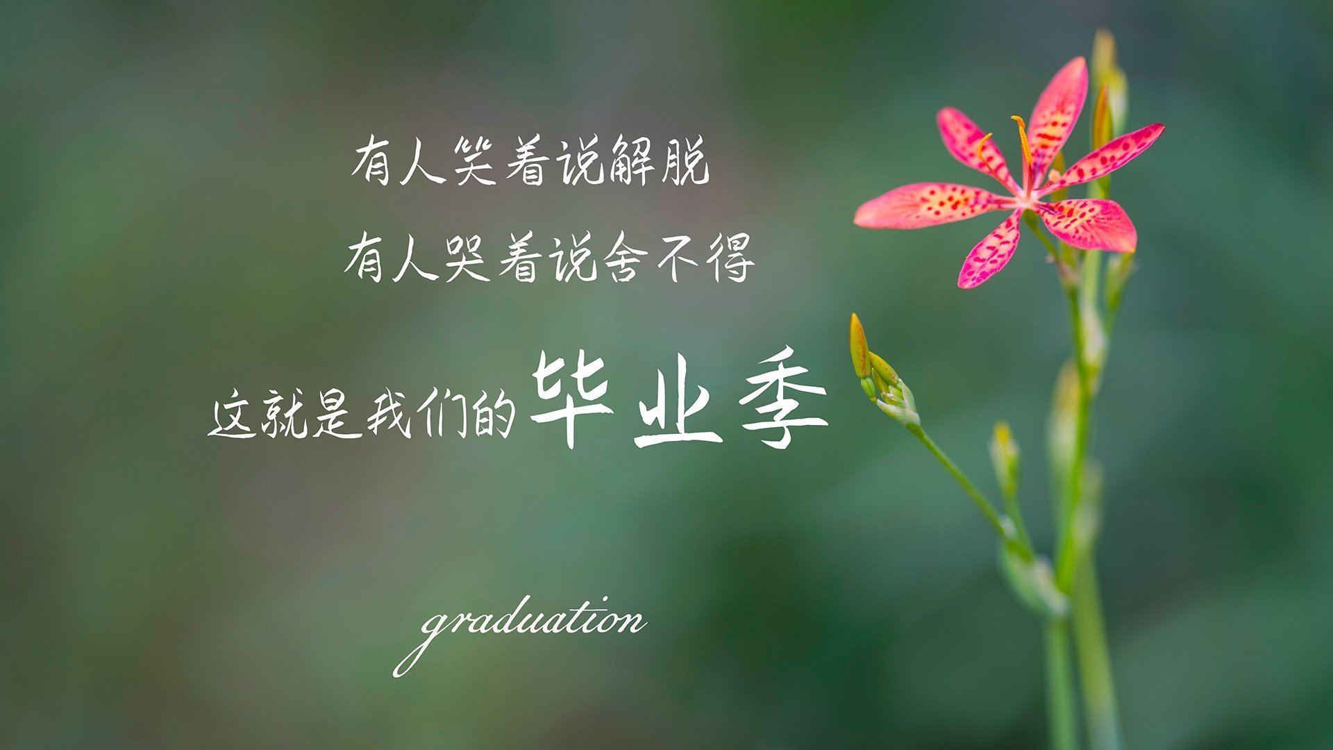 (三个扩展方向供选择)